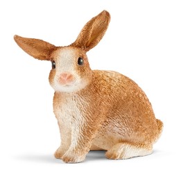Rabbit