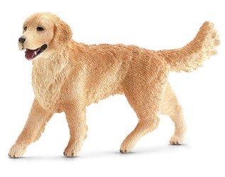 Golden Retriever, female